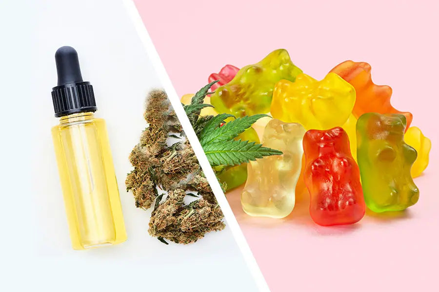 CBD Oil vs Gummies