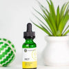 CBD and Dogs: A Comprehensive Guide to What the Research Says