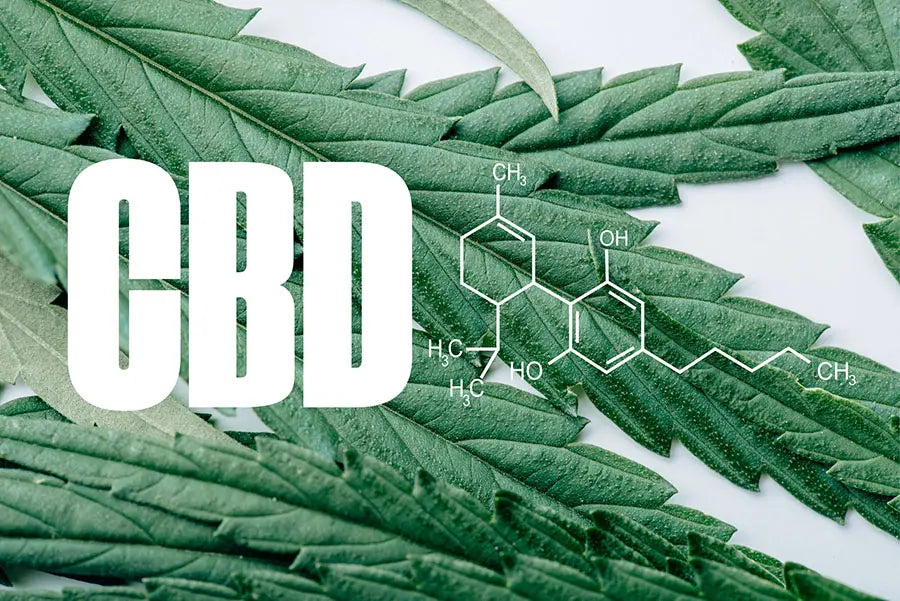 CBD 101: Tips & Tricks for Beginners