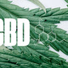 CBD 101: Tips & Tricks for Beginners