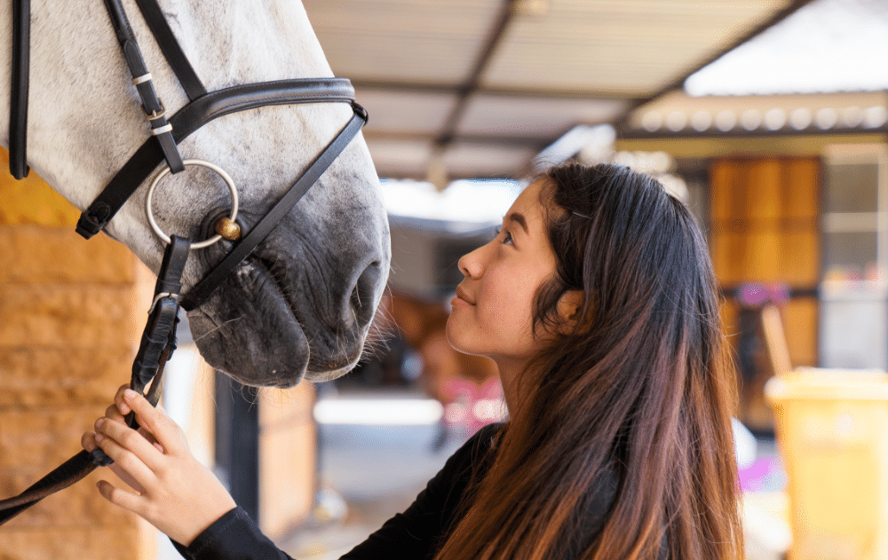 HOW CBD MAY HELP YOUR HORSE
