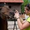 Girl with horse